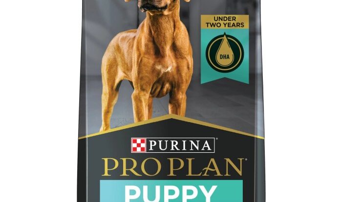 Large breed puppy dog food