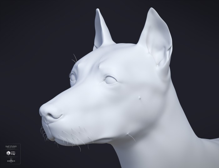 Daz3d