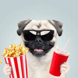 can dogs eat popcorn